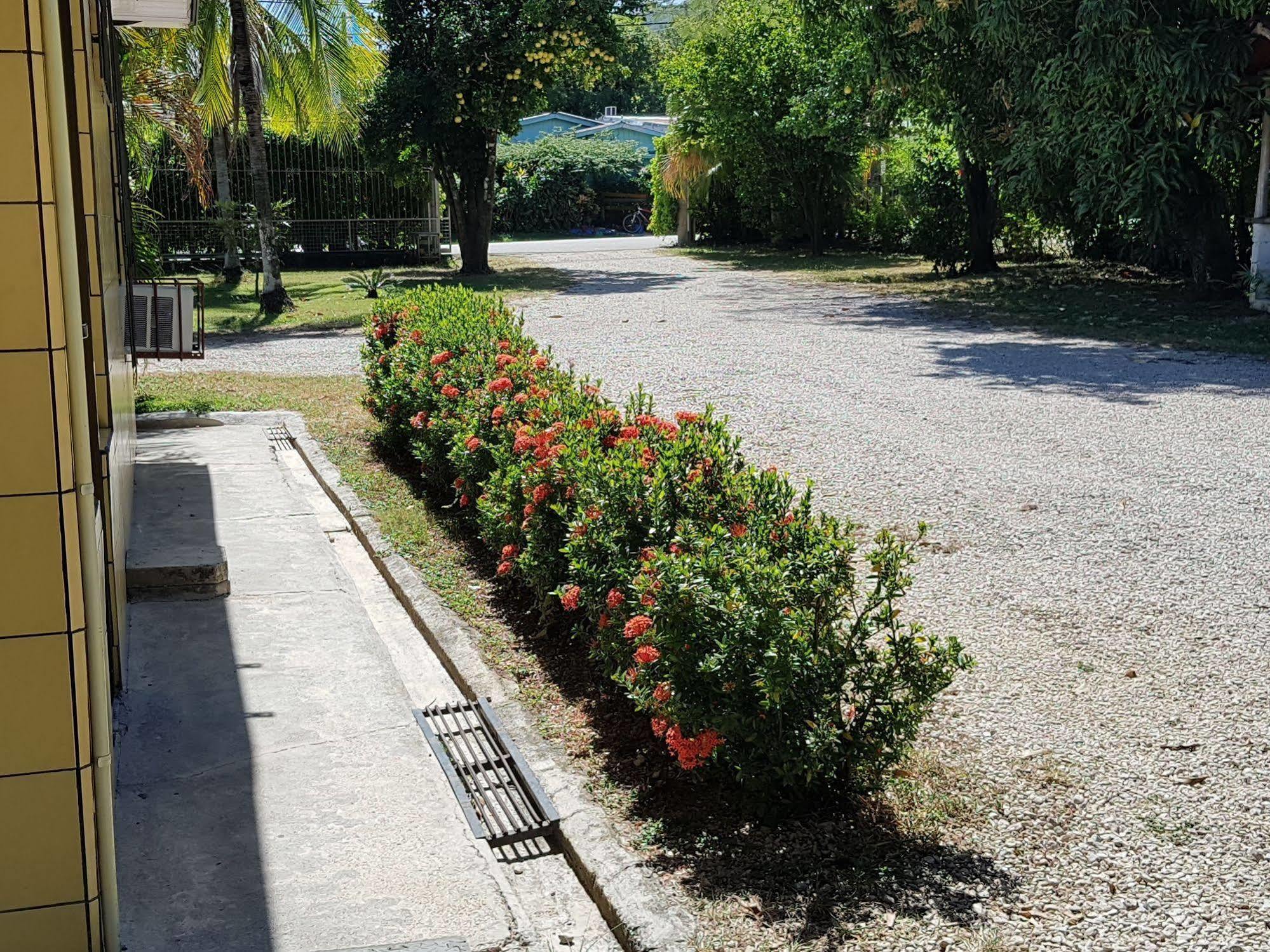 Hotel Nicoya Exterior foto